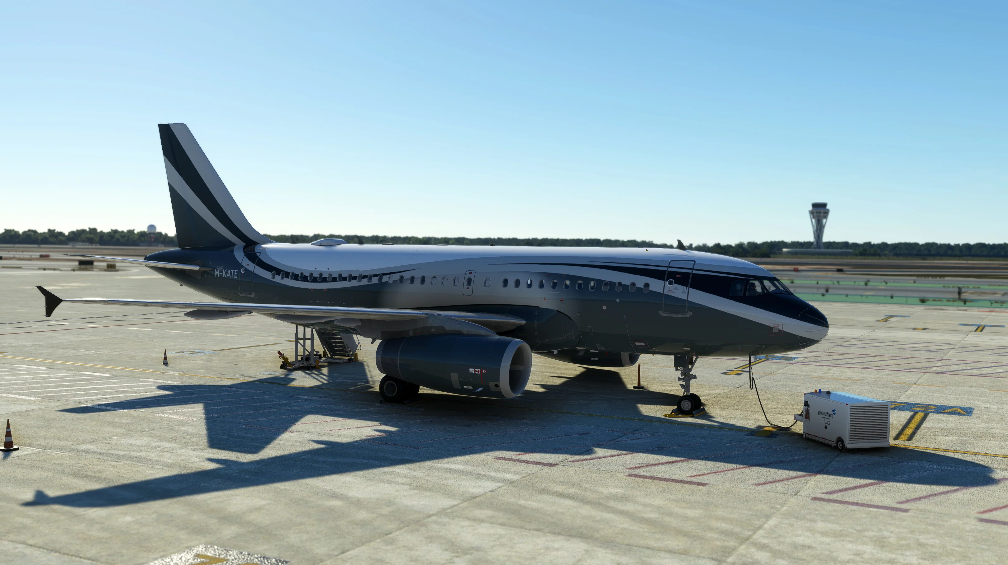 Airbus A319ceo MSFS - Image 14
