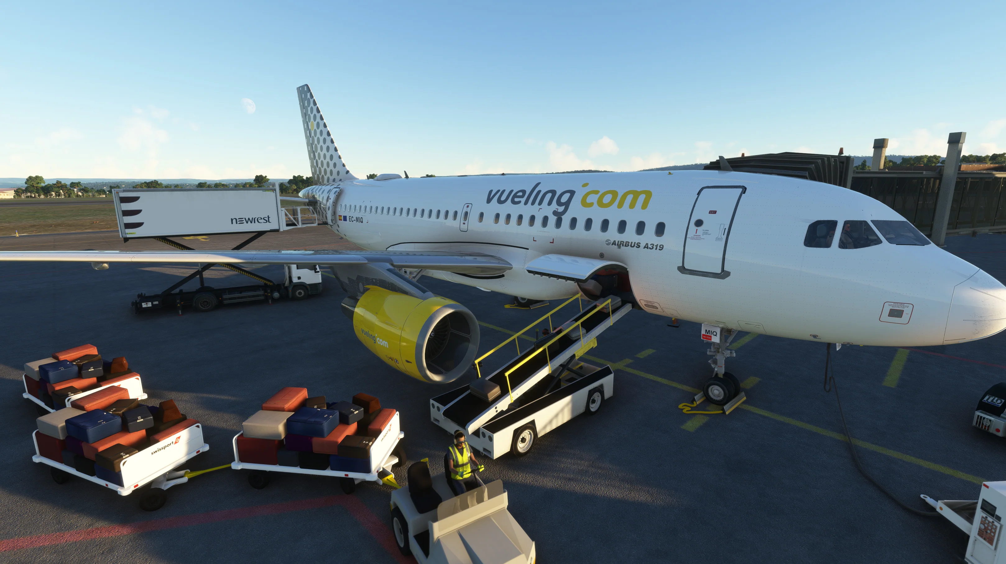 Airbus A319ceo MSFS - Image 24