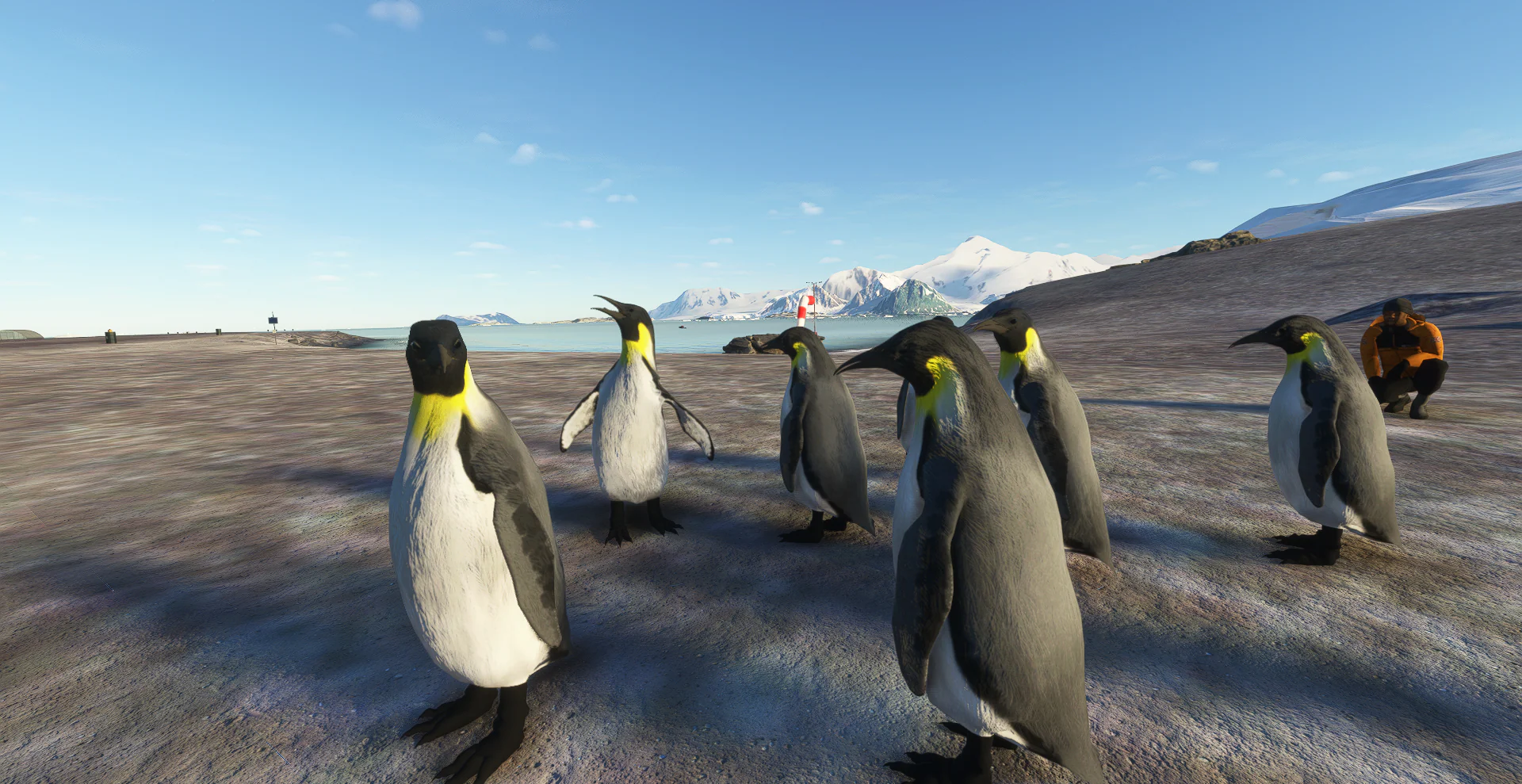 Antarctica Vol. 1 - British Rothera MSFS - Image 8
