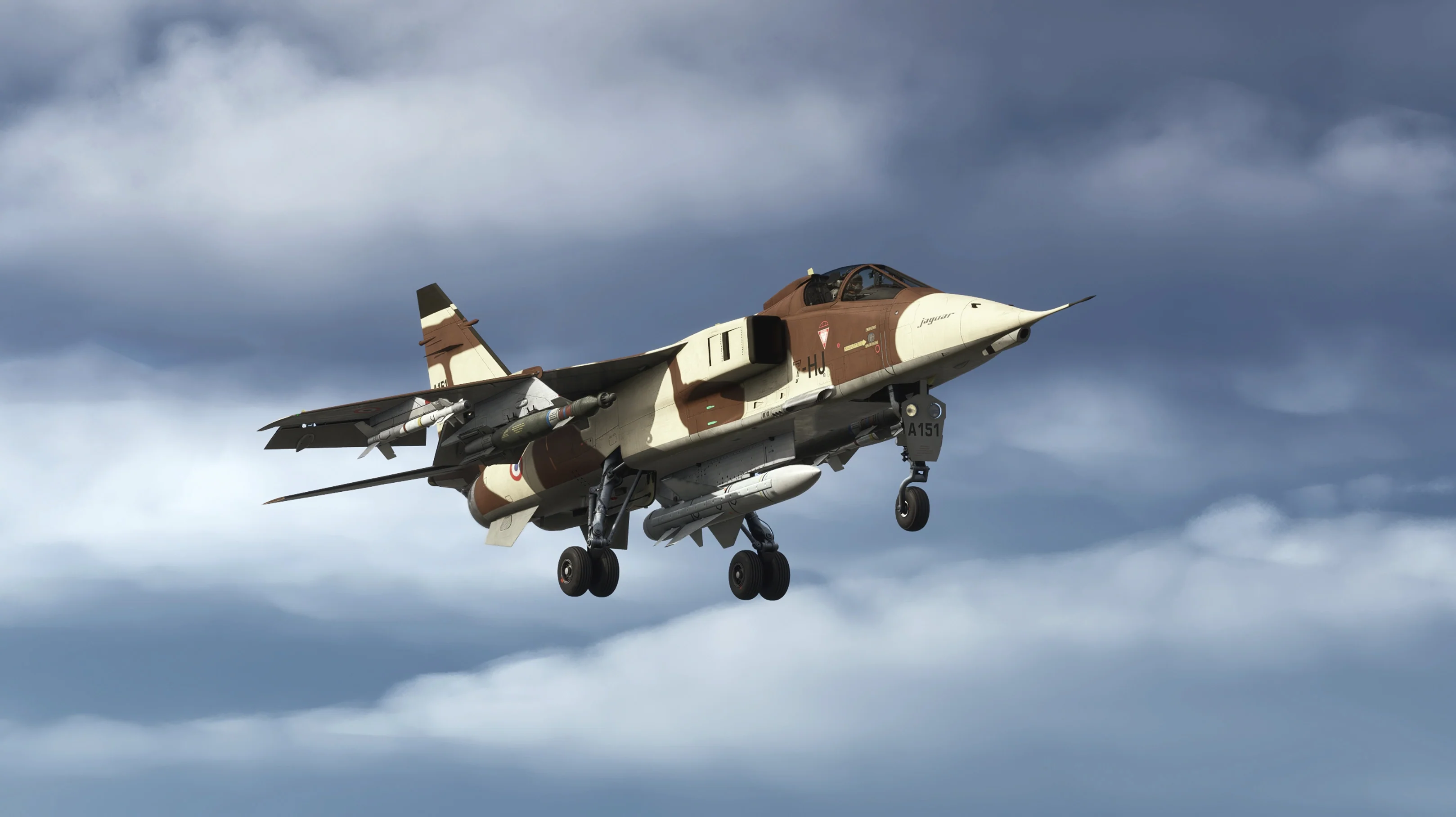 SEPECAT Jaguar MSFS20/24 - Image 12