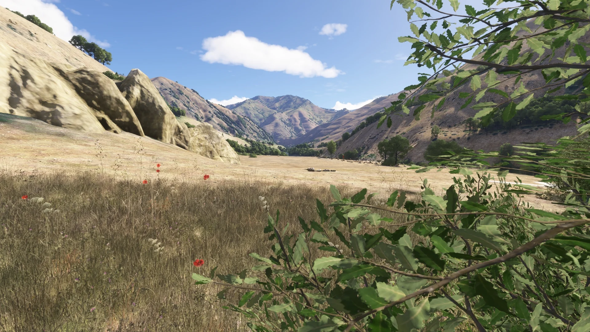 Hells Canyon MSFS24 - Image 38