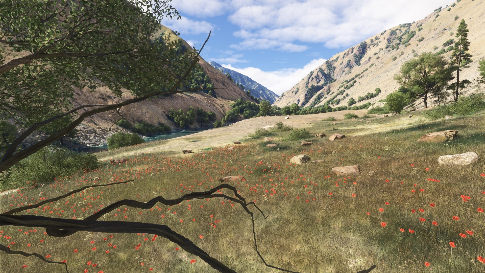 Hells Canyon MSFS24 - Image 39