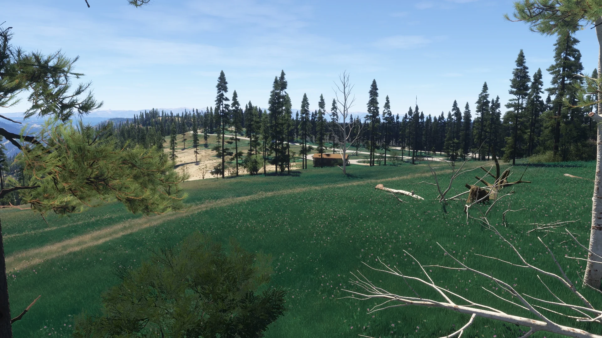 Hells Canyon MSFS24 - Image 4