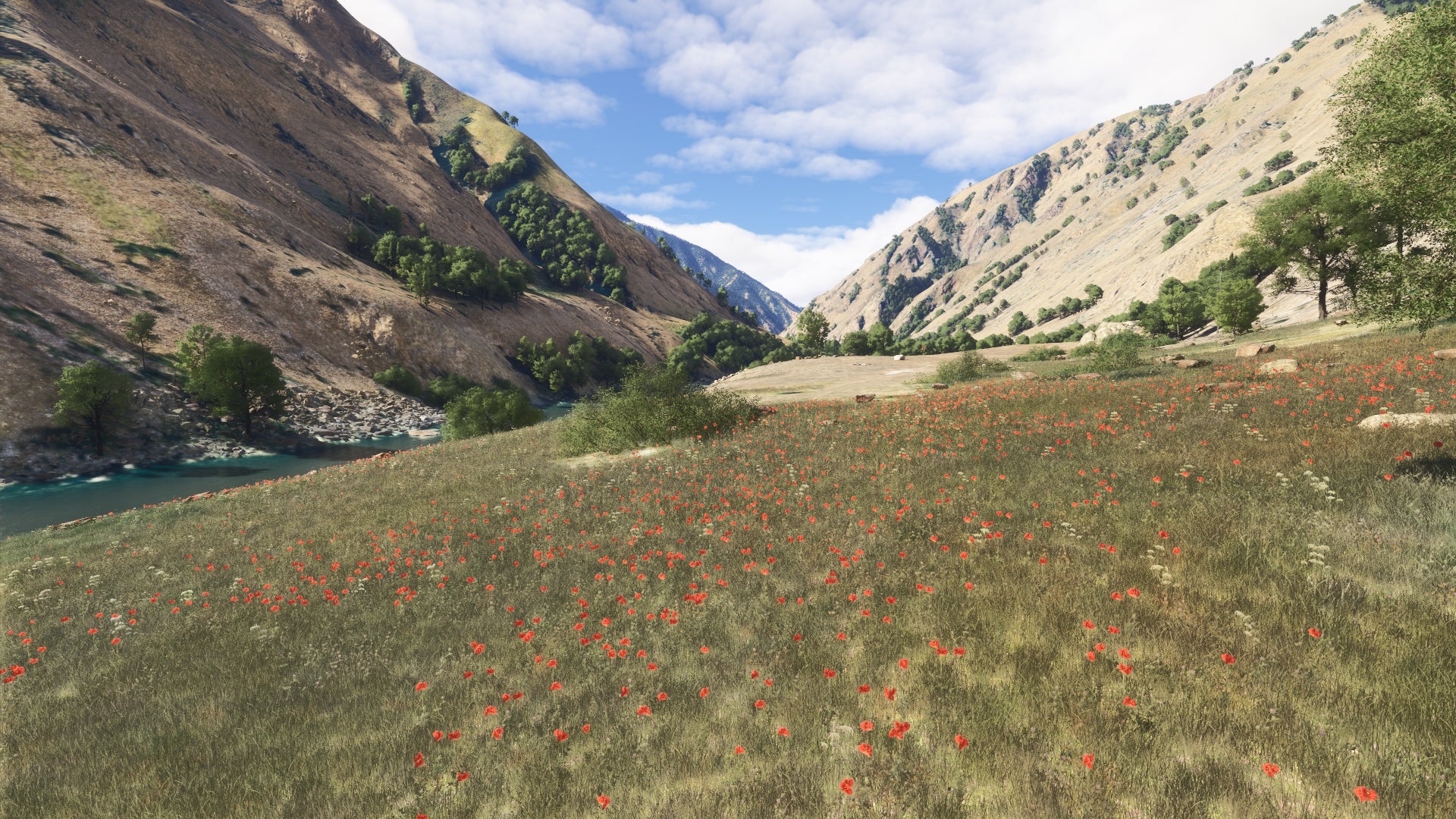 Hells Canyon MSFS24 - Image 40