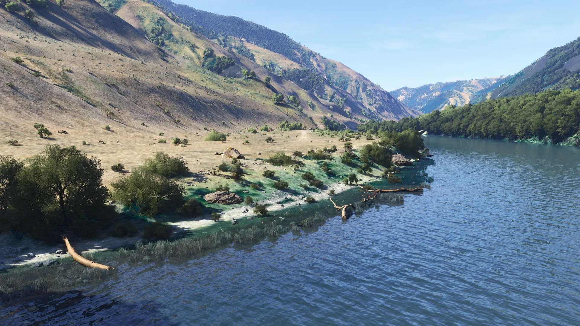 Hells Canyon MSFS24 - Image 44