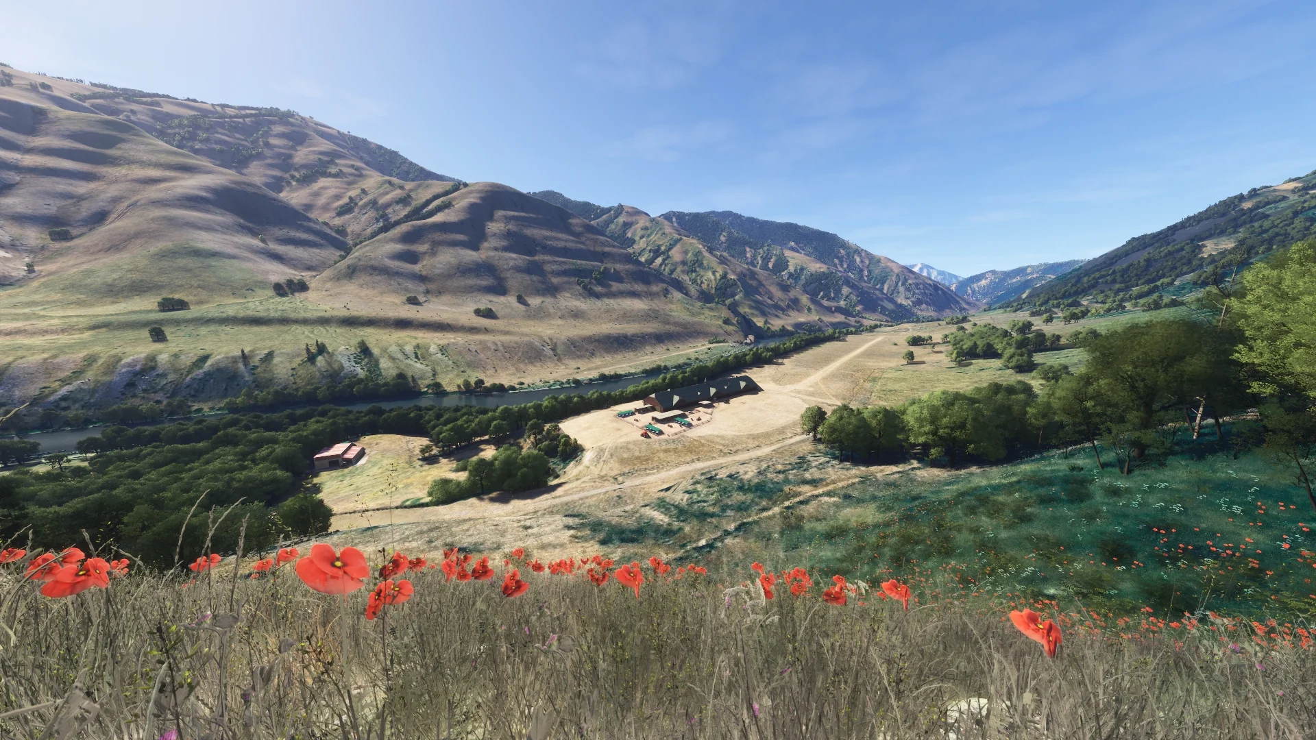 Hells Canyon MSFS24 - Image 47