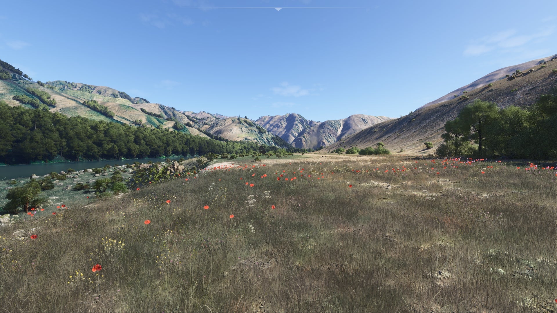 Hells Canyon MSFS24 - Image 49