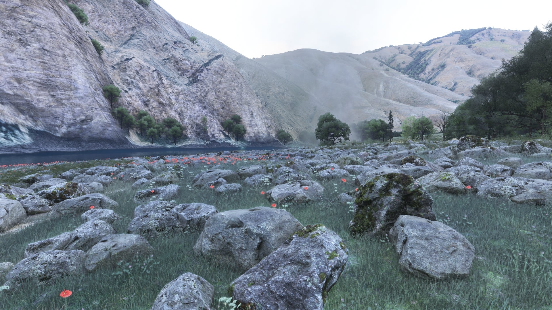 Hells Canyon MSFS24 - Image 52
