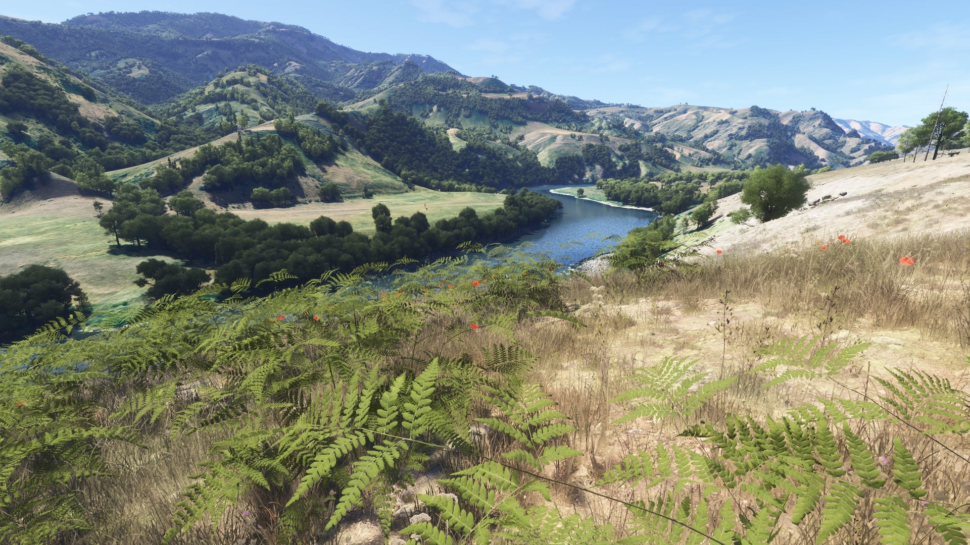 Hells Canyon MSFS24 - Image 53