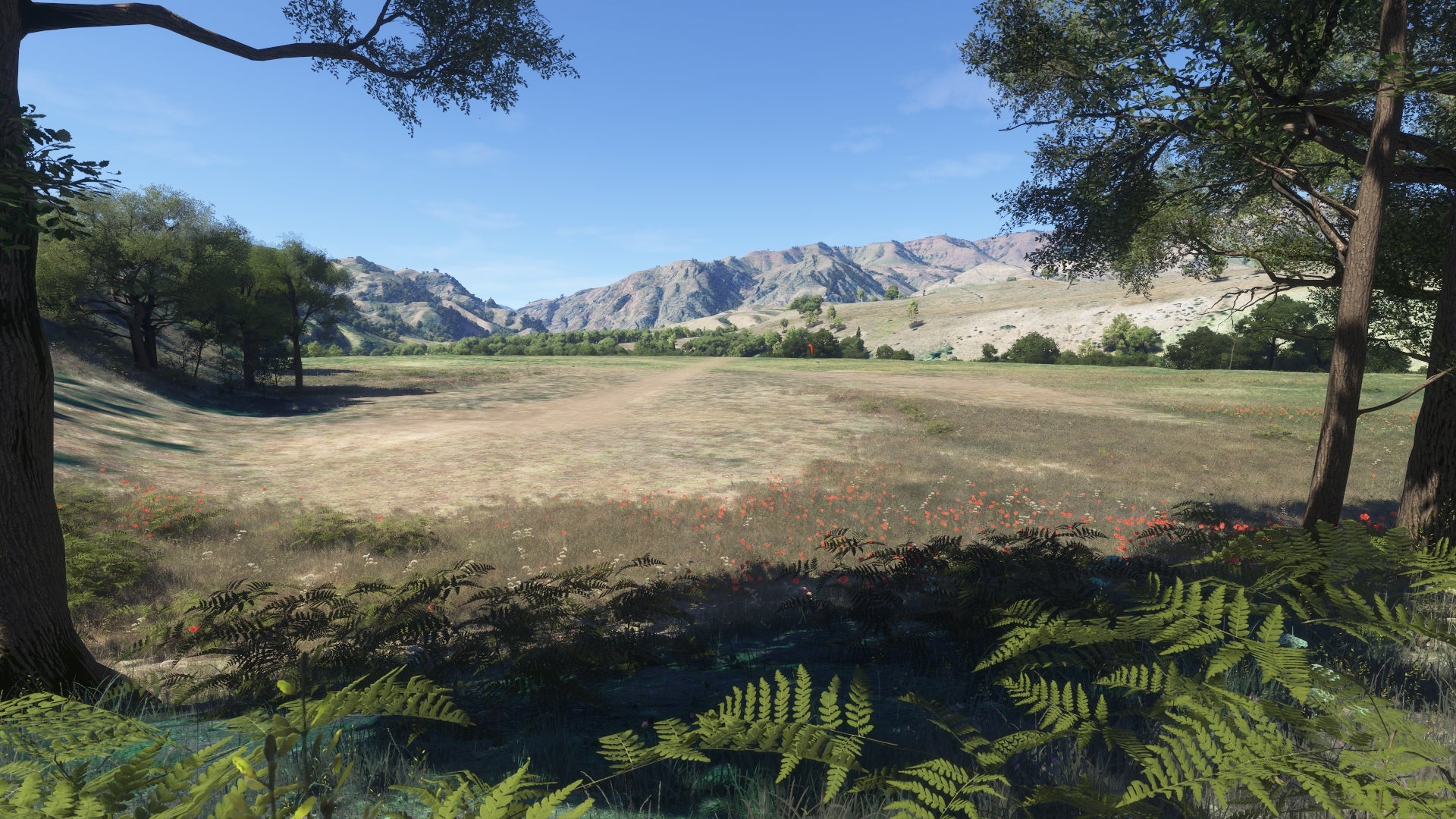 Hells Canyon MSFS24 - Image 54