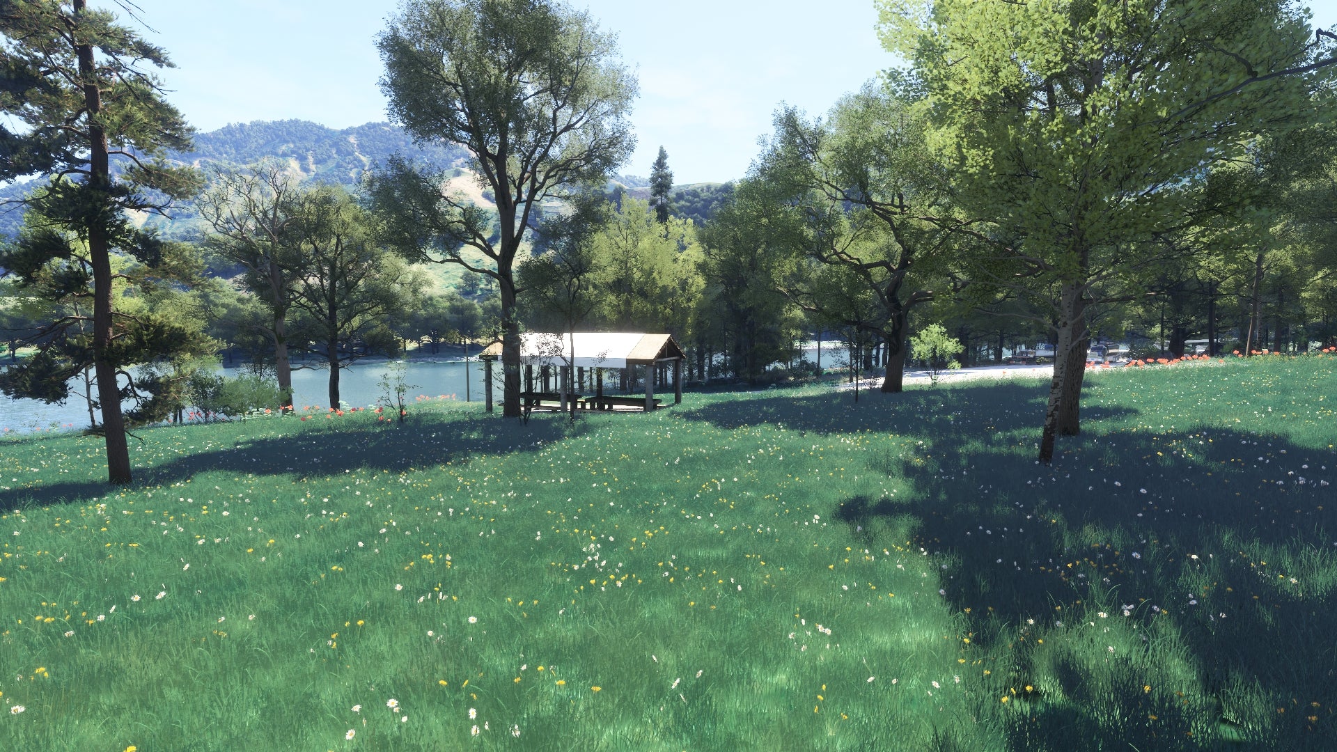 Hells Canyon MSFS24 - Image 56