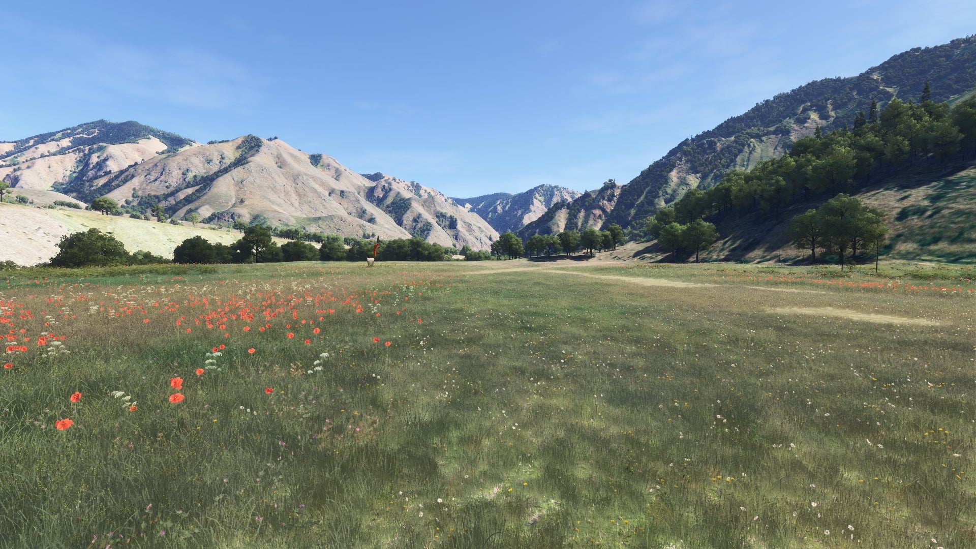 Hells Canyon MSFS24 - Image 60