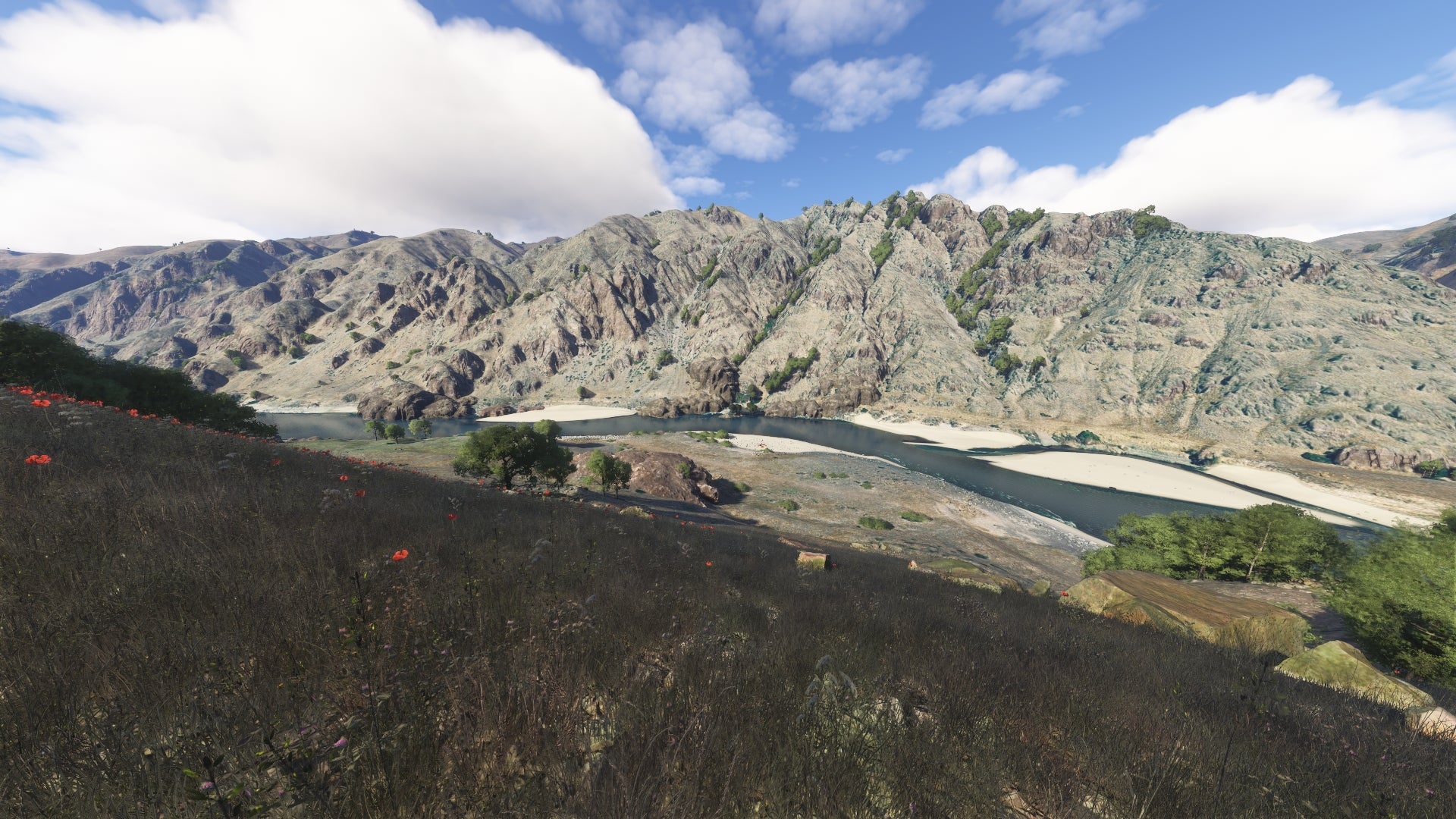Hells Canyon MSFS24 - Image 70