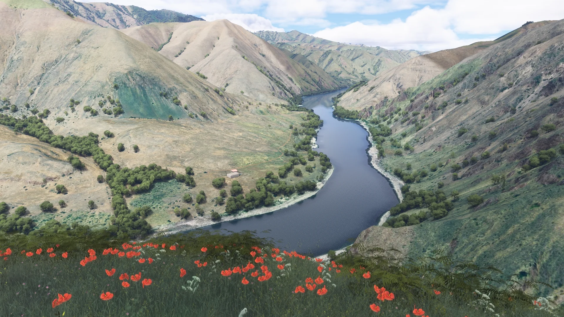 Hells Canyon MSFS24 - Image 79