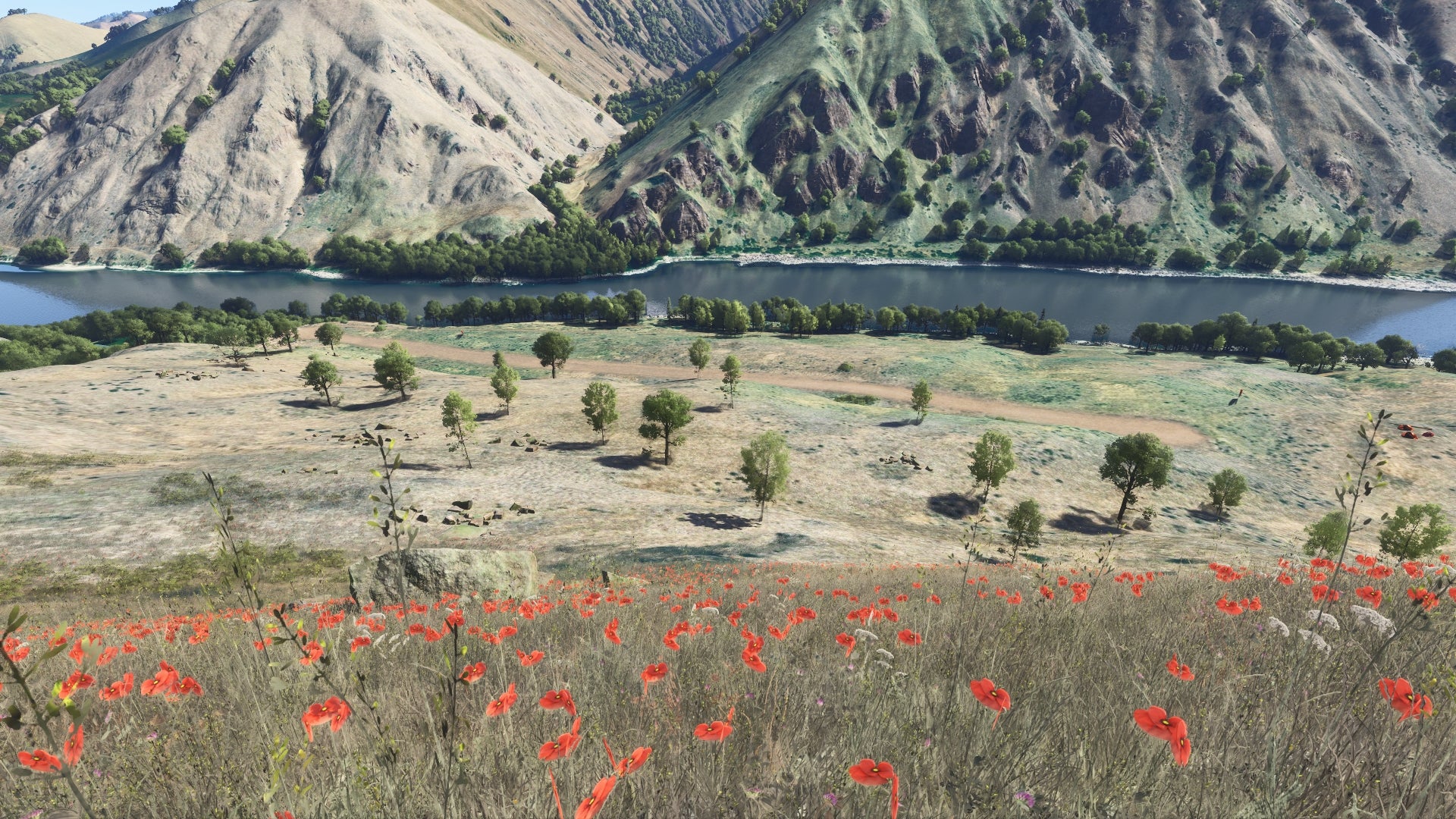 Hells Canyon MSFS24 - Image 94