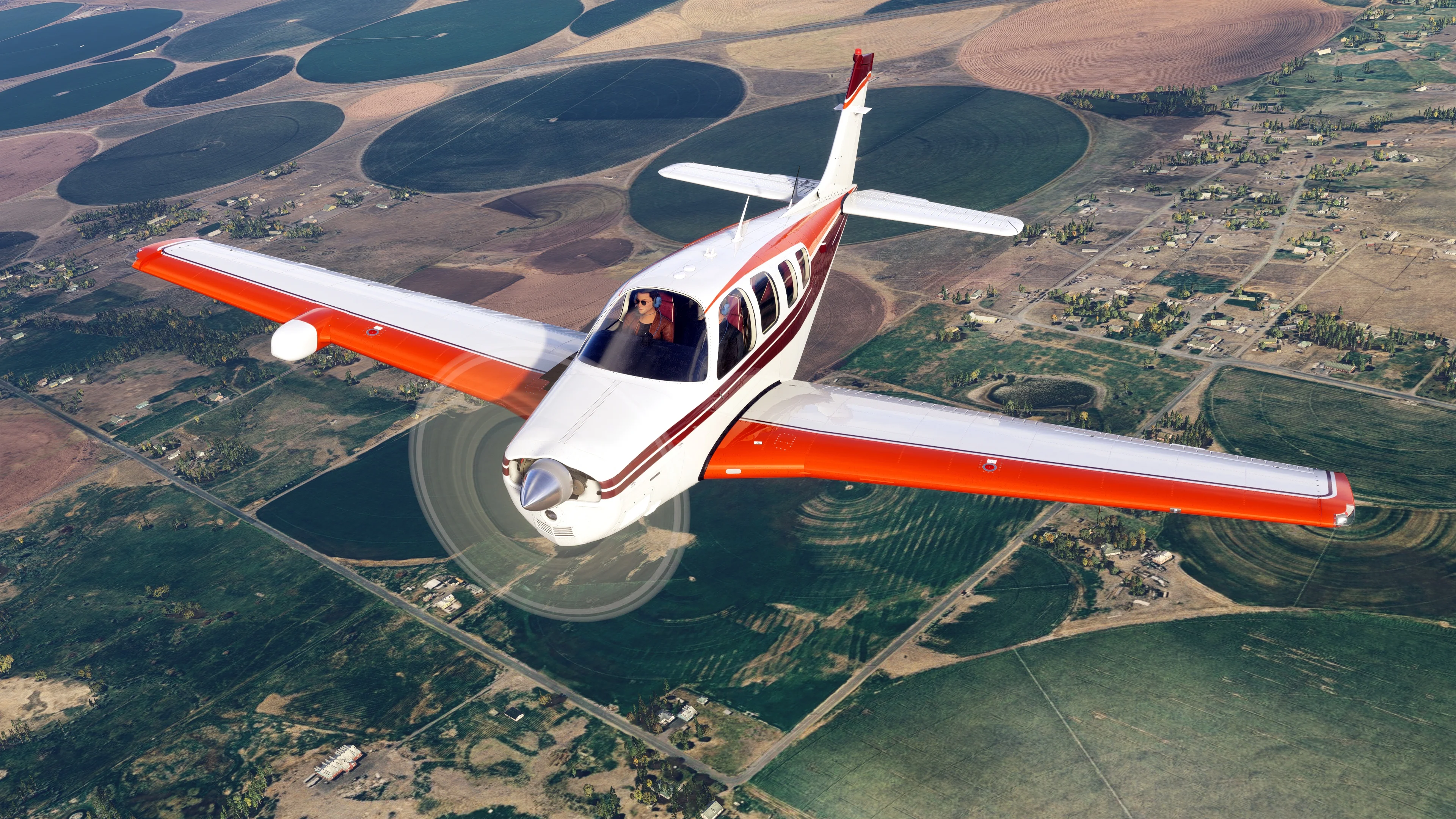 Bonanza Professional MSFS20/24 - Image 10