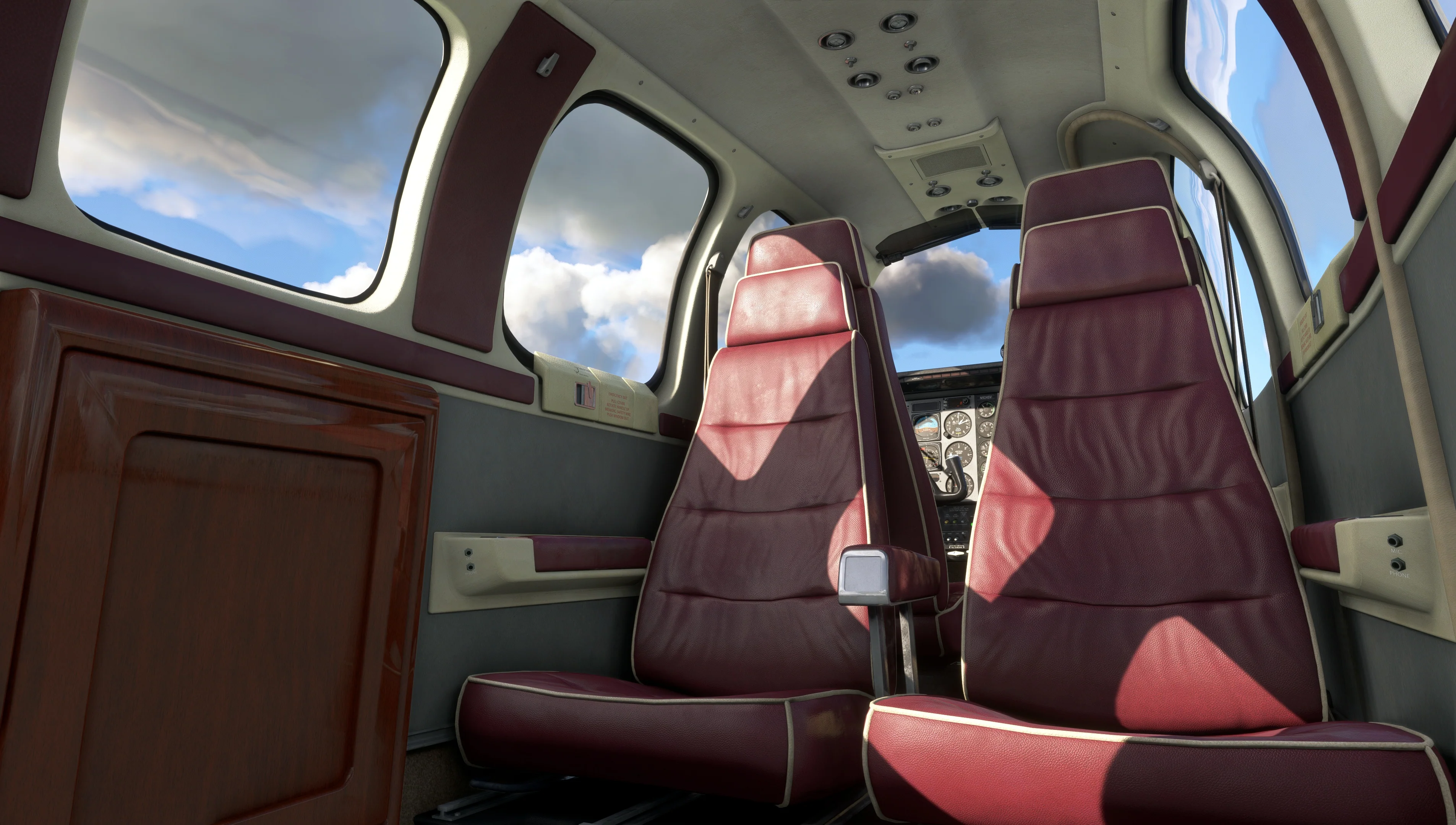Bonanza Professional MSFS20/24 - Image 14
