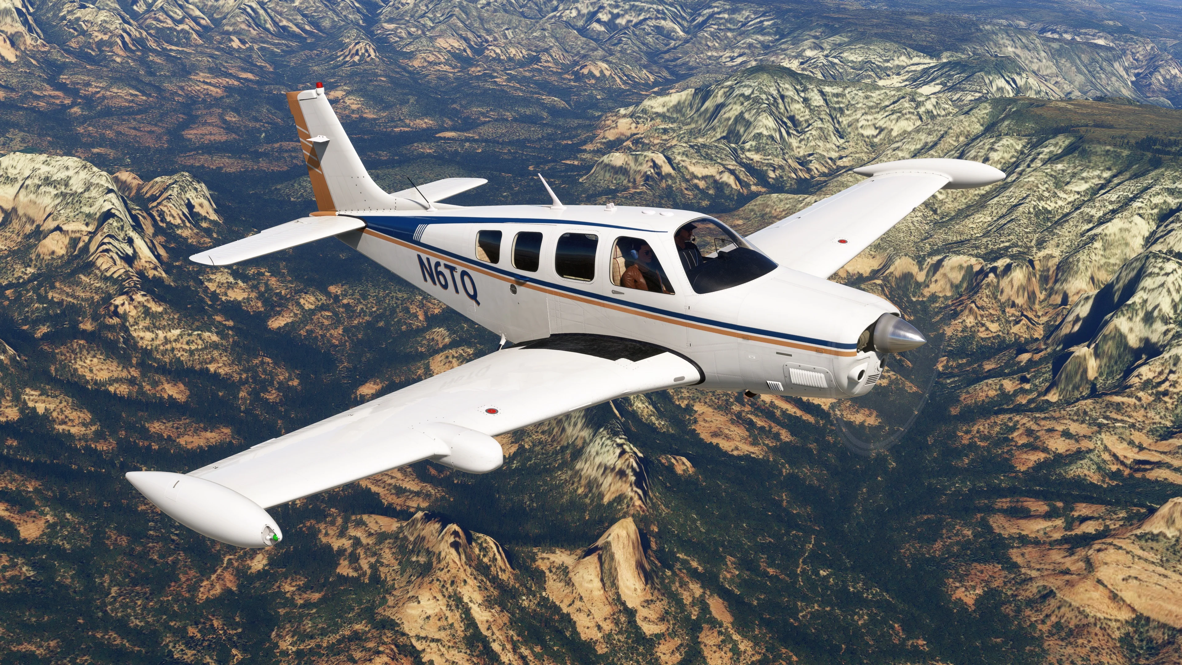 Bonanza Professional MSFS20/24 - Image 3