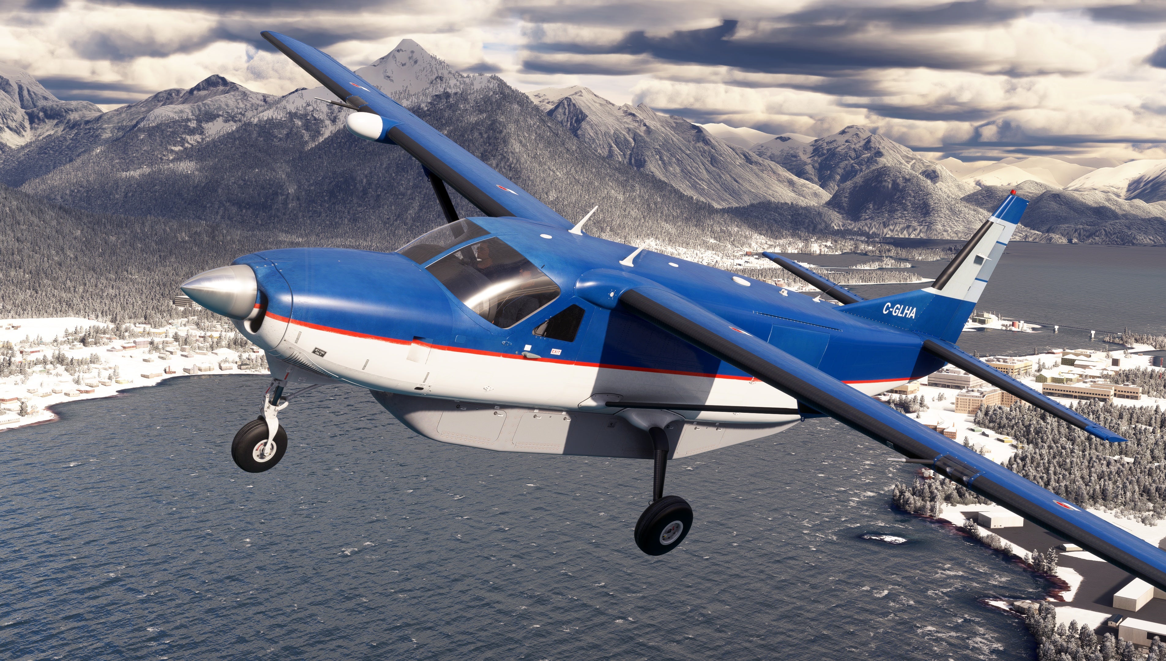 Caravan Professional - Amphibian & Cargo MSFS20/24 - Image 7