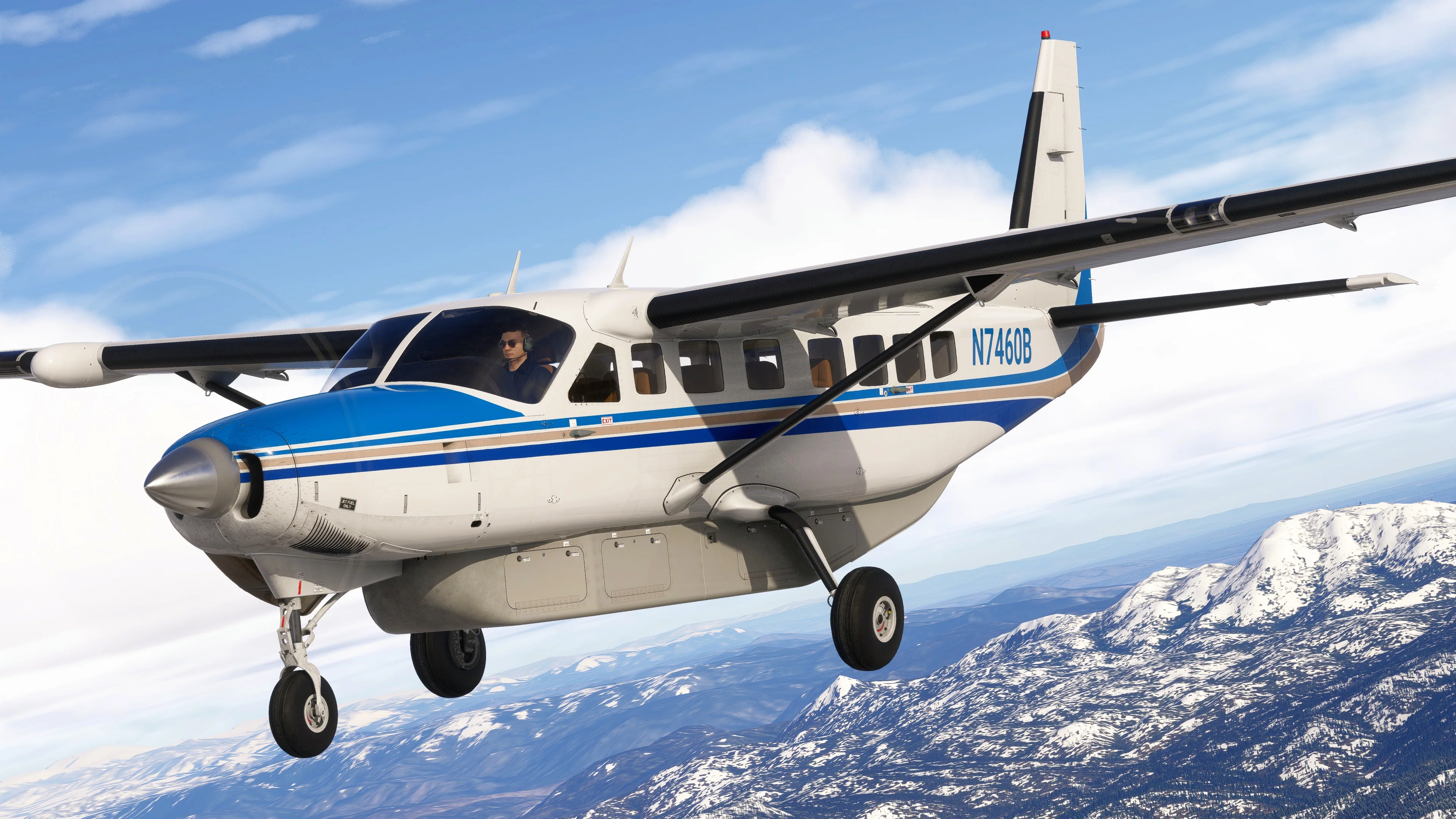 Caravan Professional - Passenger MSFS20/24 - Image 19