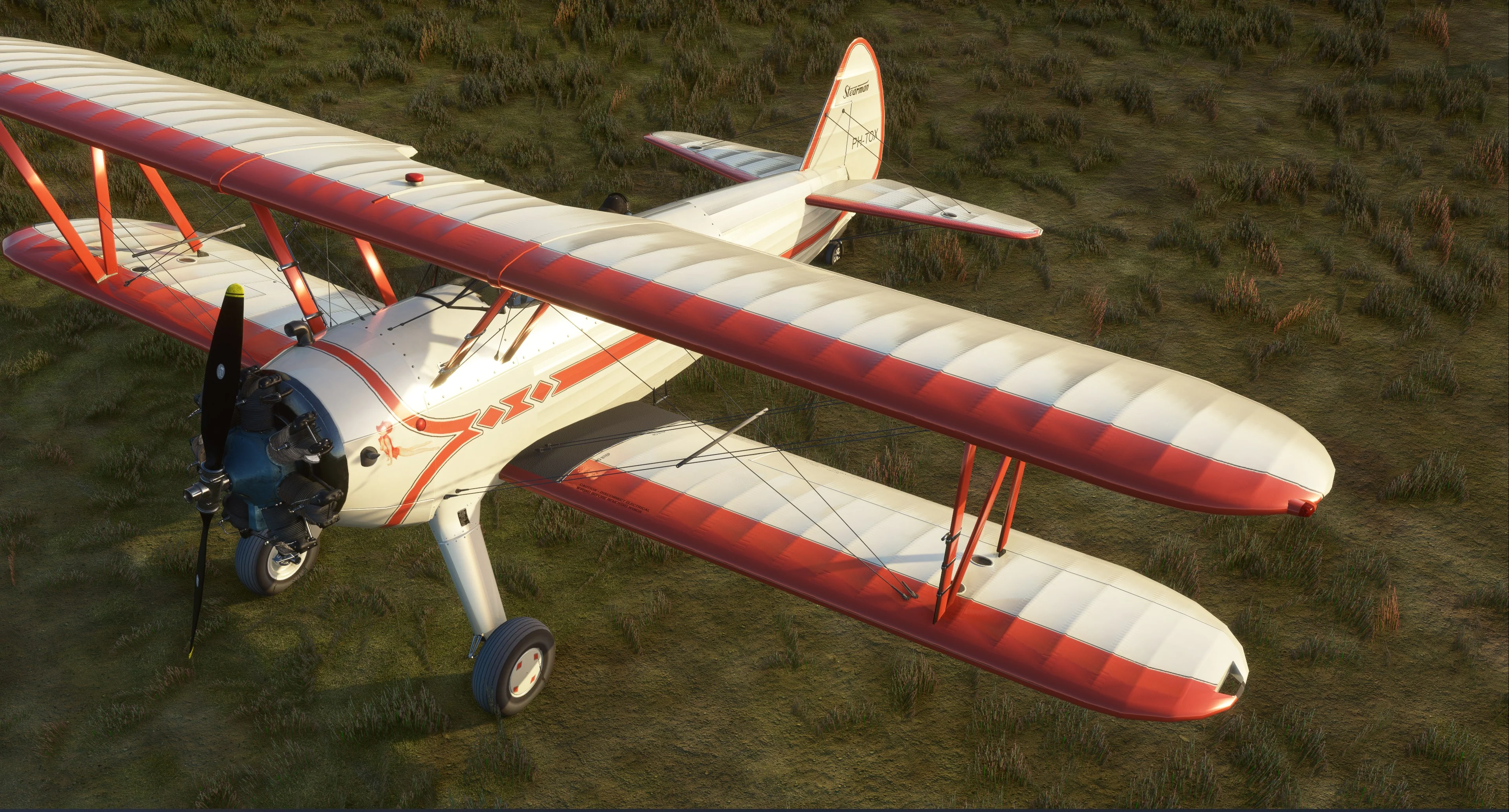 PT-17 Stearman MSFS - Image 12