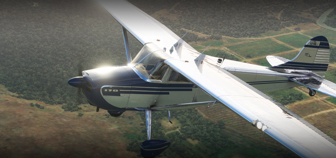 C170B MSFS20 - Image 5
