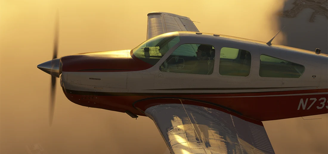F33A MSFS20 - Image 12