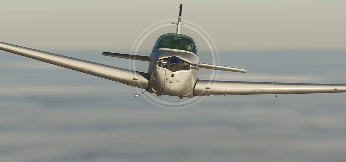 F33A MSFS20 - Image 13