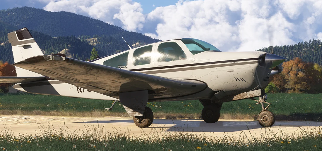 F33A MSFS20 - Image 17