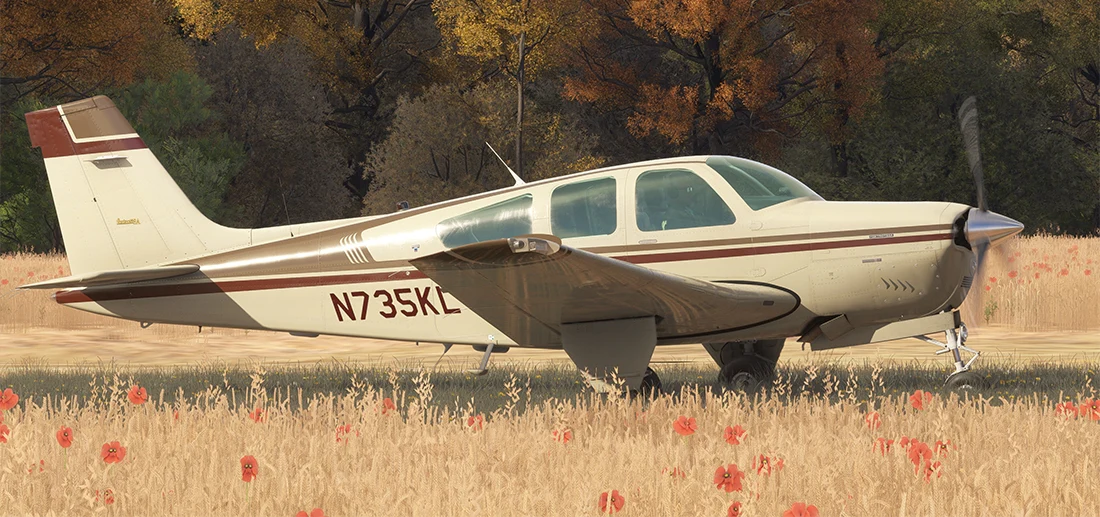 F33A MSFS20 - Image 18