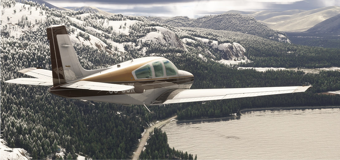 F33A MSFS20 - Image 21