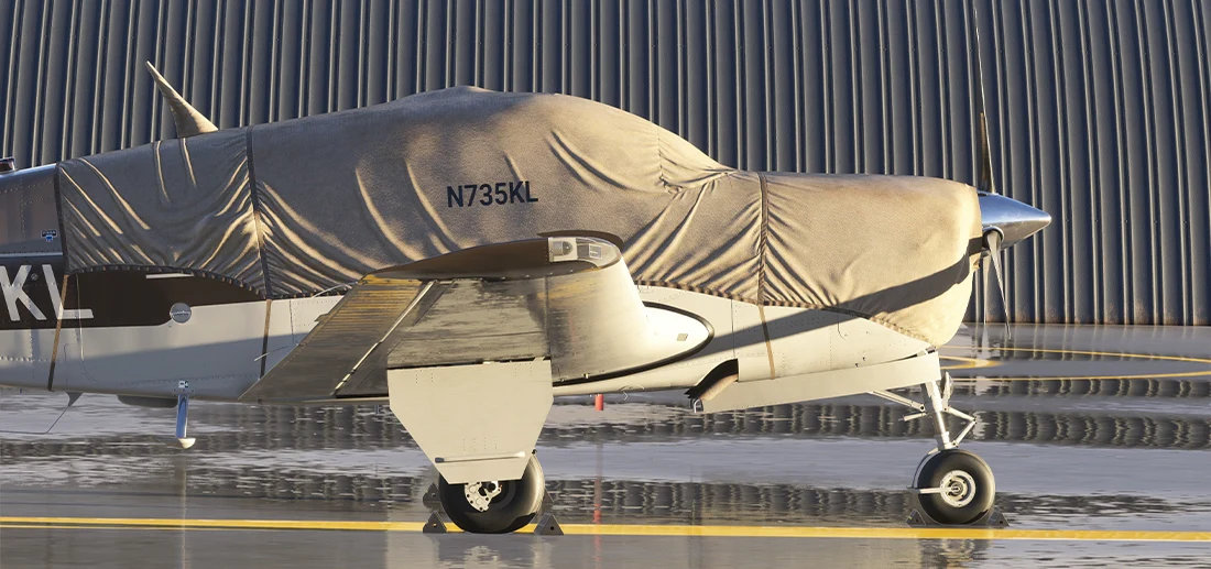 F33A MSFS20 - Image 4
