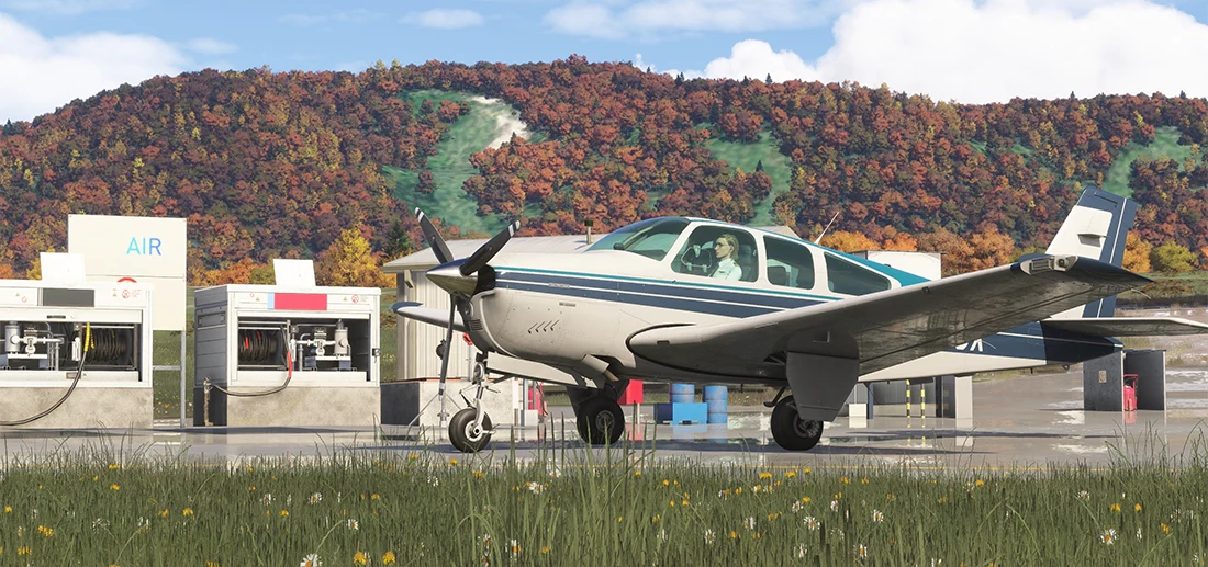 F33A MSFS20 - Image 5