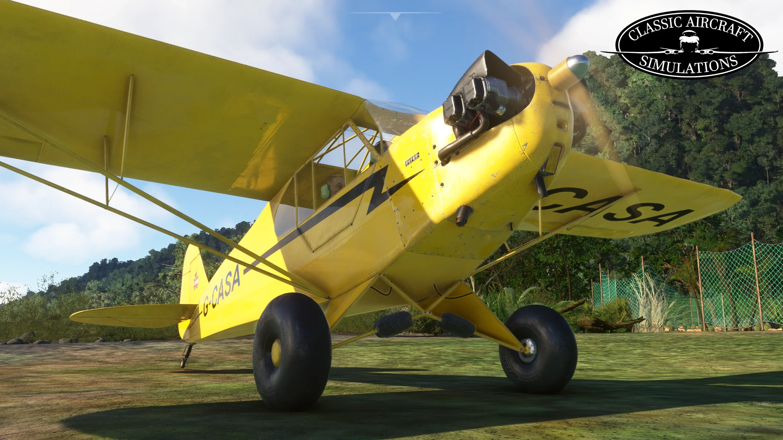 Piper J-3 Cub MSFS - Image 8