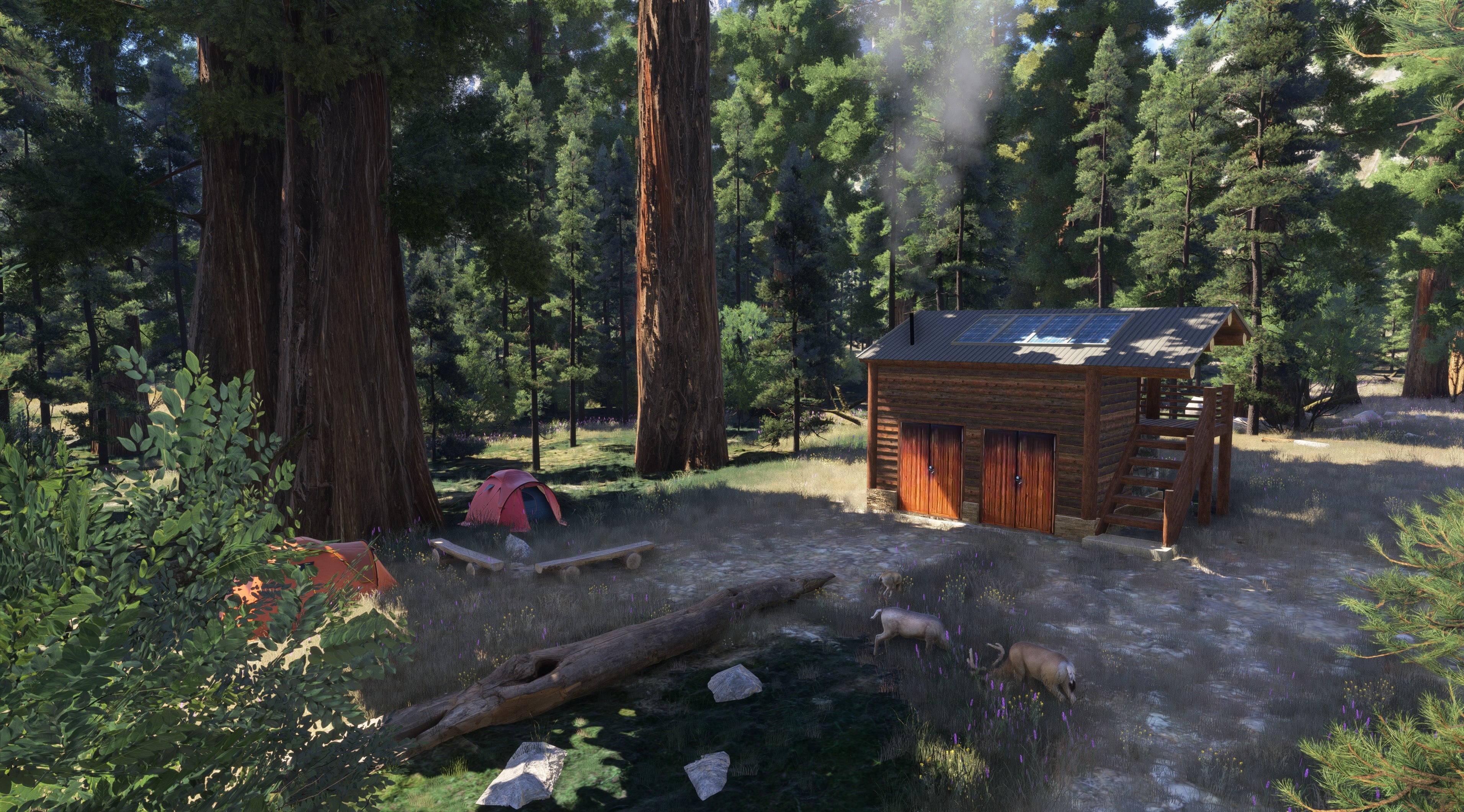Yosemite Valley FS24 - Image 31