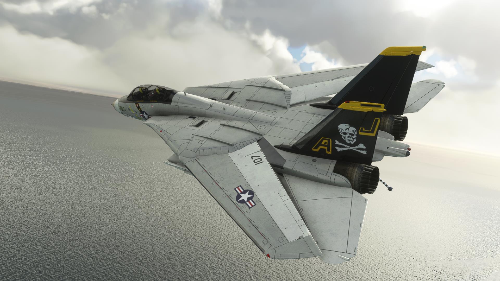 F-14 A/B Tomcat MSFS - Image 19