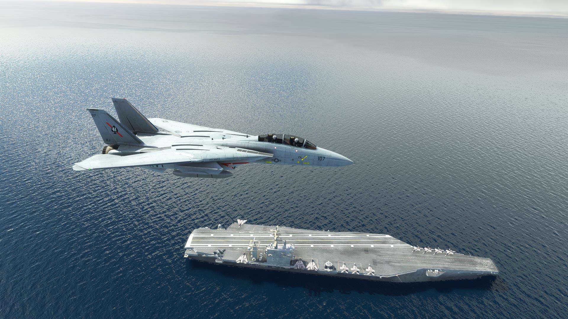 F-14 A/B Tomcat MSFS - Image 20