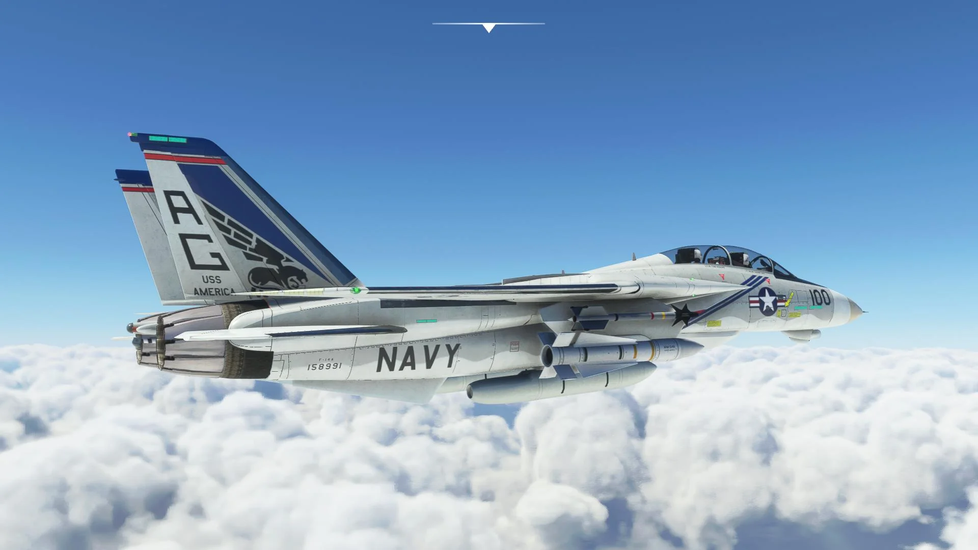 F-14 A/B Tomcat MSFS - Image 4