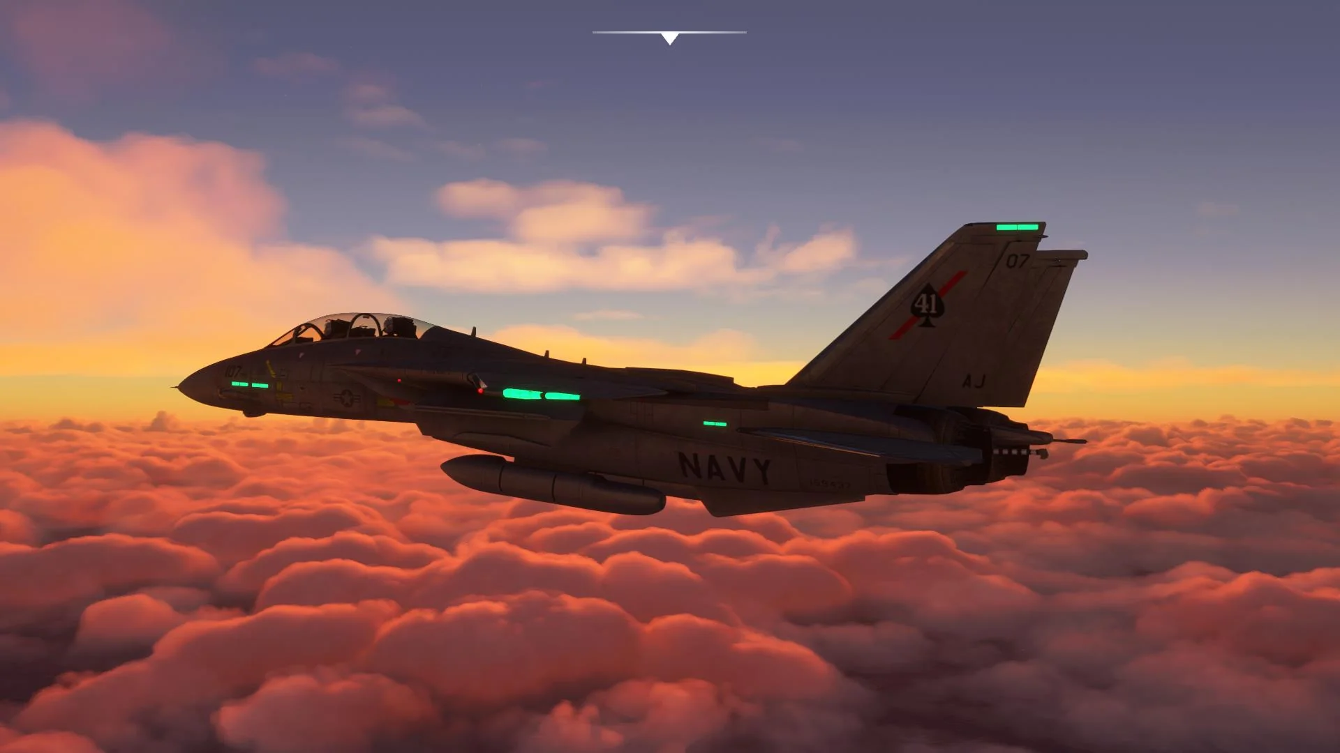 F-14 A/B Tomcat MSFS - Image 7