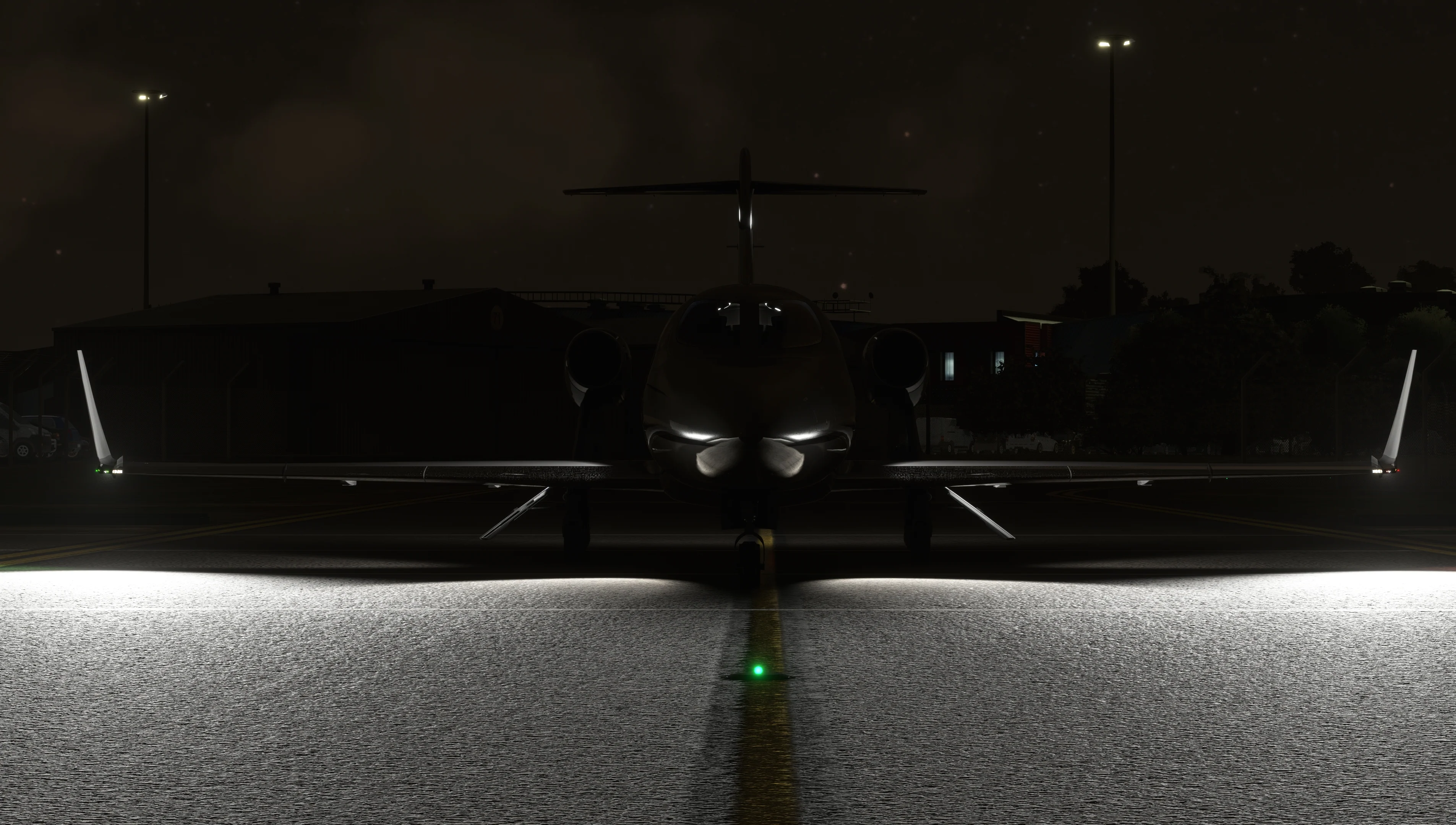 HJet HA-420 MSFS20 - Image 12