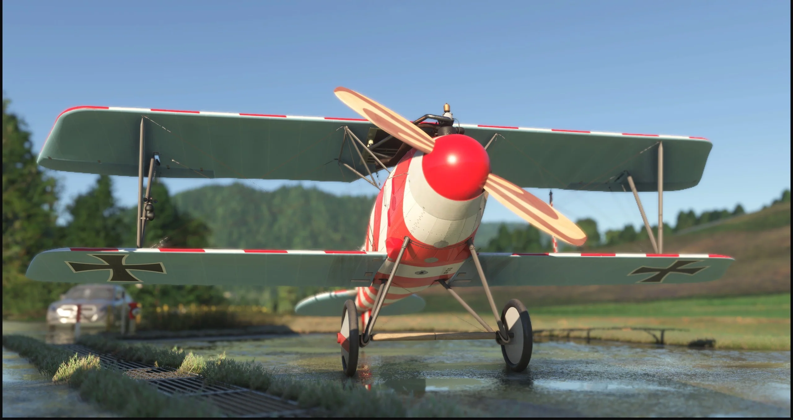 Albatros D.III O.A.W MSFS20/24 - Image 10