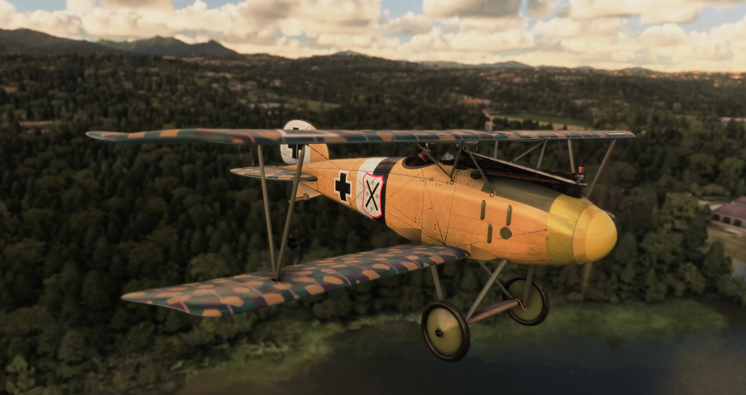 Albatros D.III O.A.W MSFS20/24 - Image 25