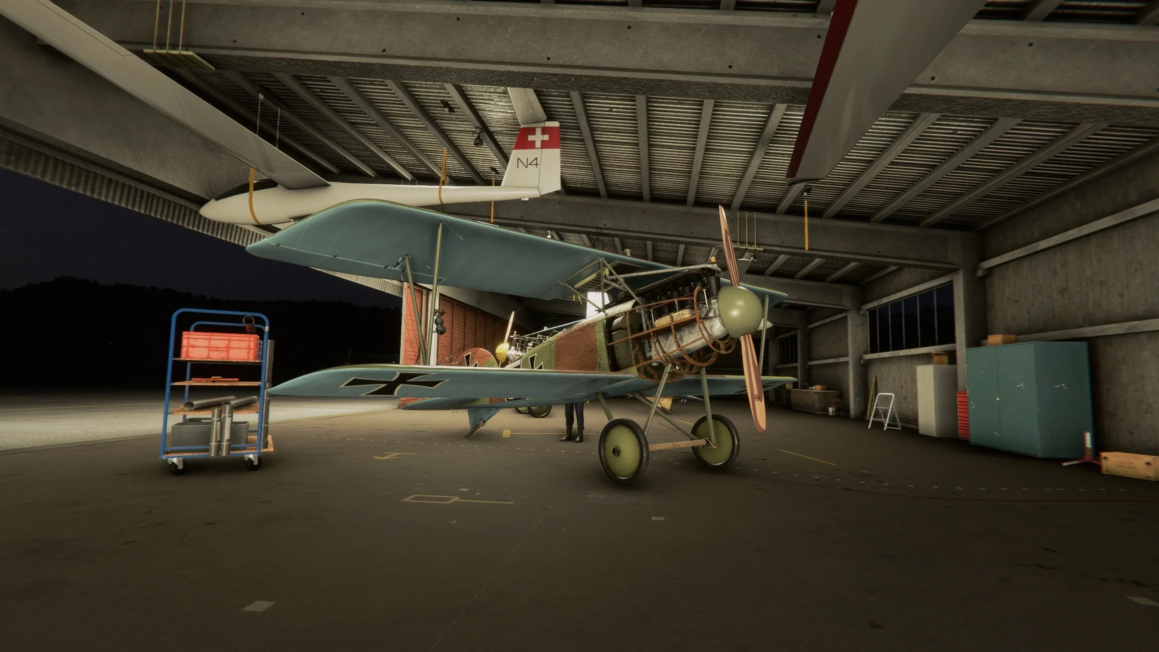 Albatros D.III O.A.W MSFS20/24 - Image 28