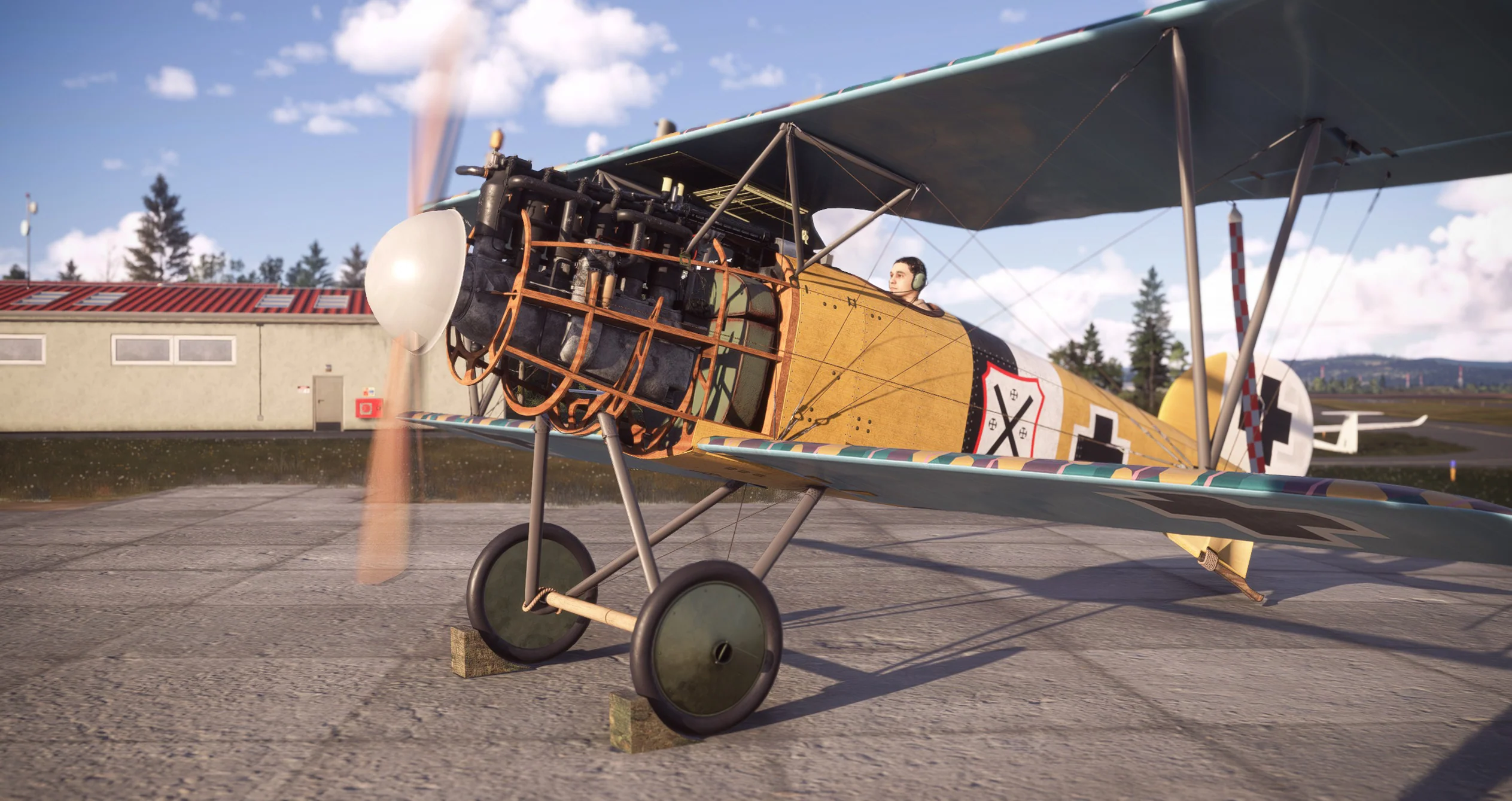 Albatros D.III O.A.W MSFS24 - Image 3