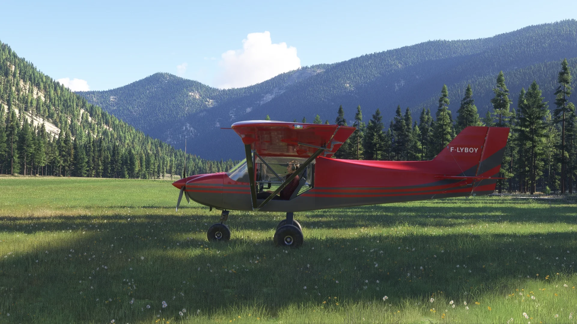Rans S6S MSFS24 - Image 12