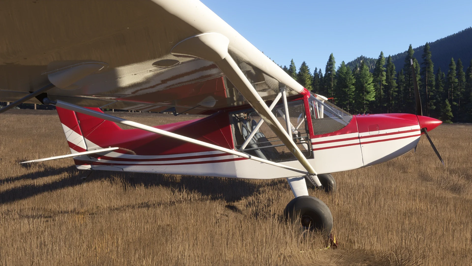 Rans S6S MSFS24 - Image 2