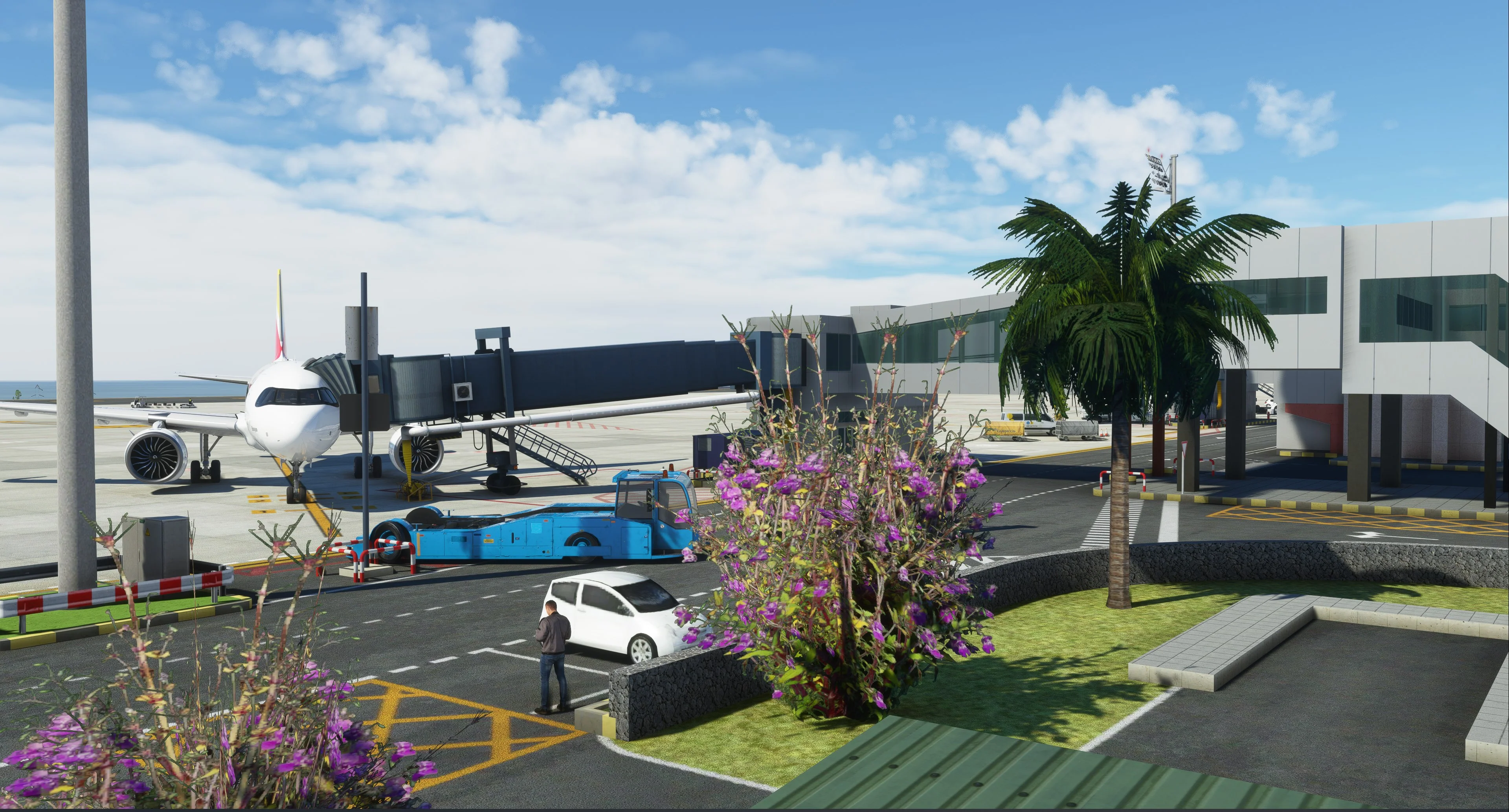 GCTS - Tenerife South Airport MSFS - Image 3