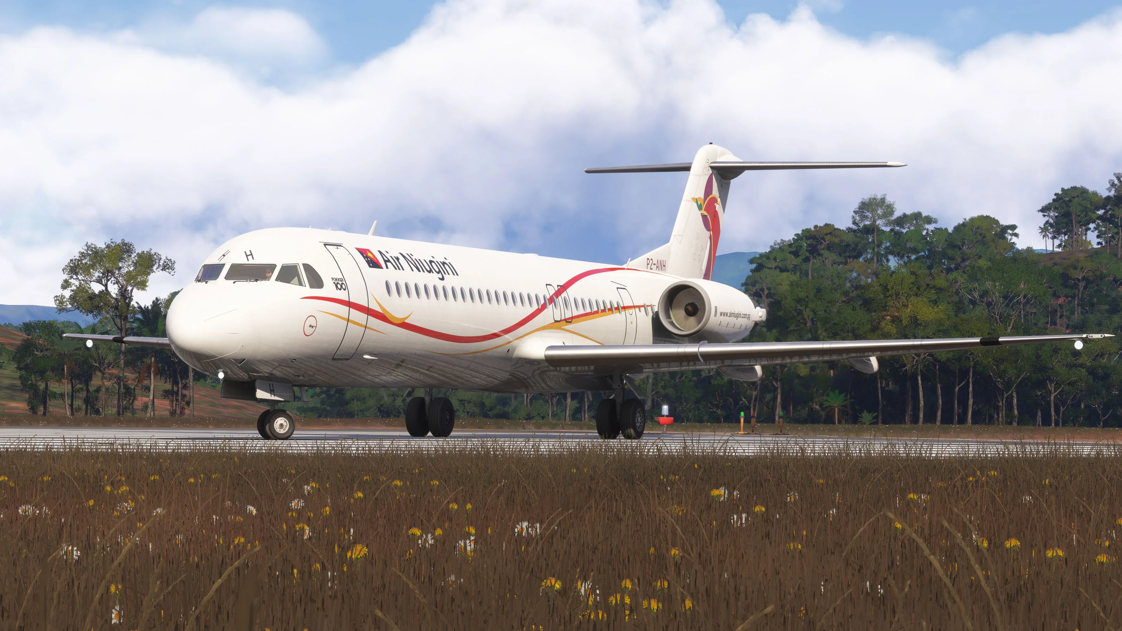 F100 Professional MSFS20/24 - Image 43
