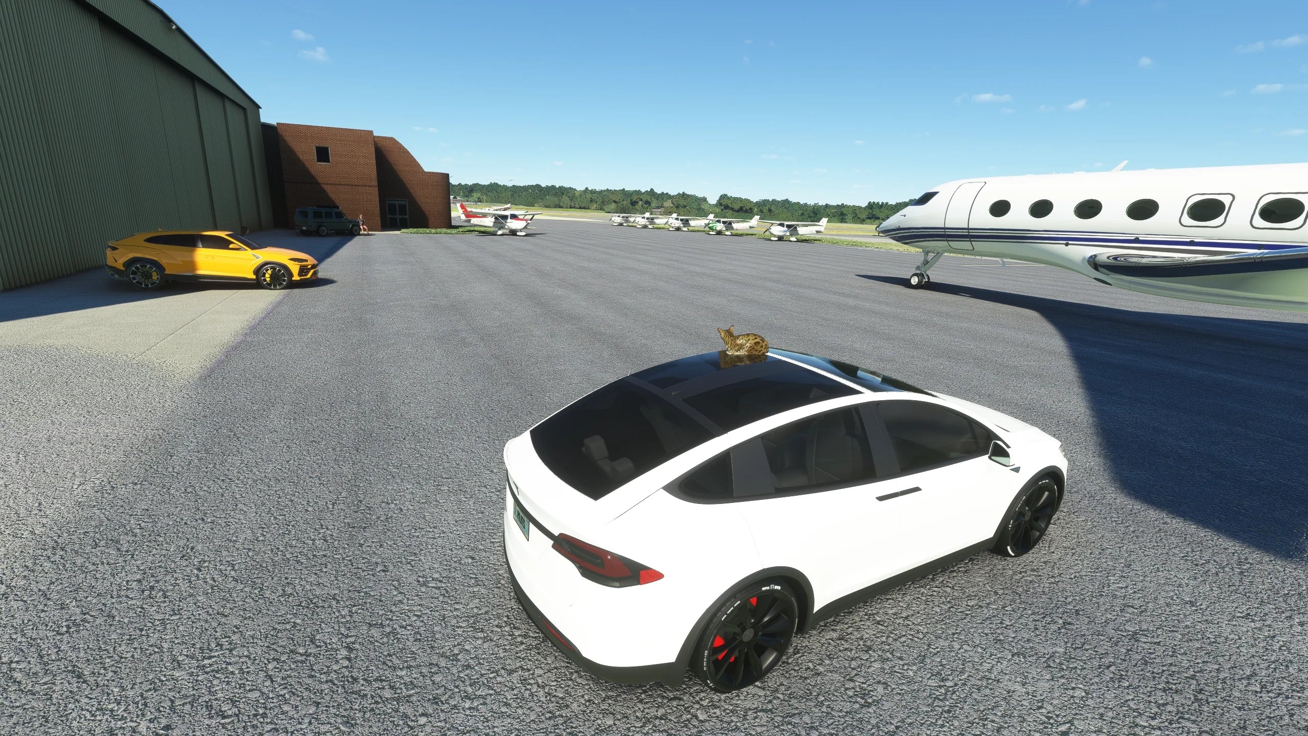 KLYH - Lynchburg Airport MSFS - Image 14