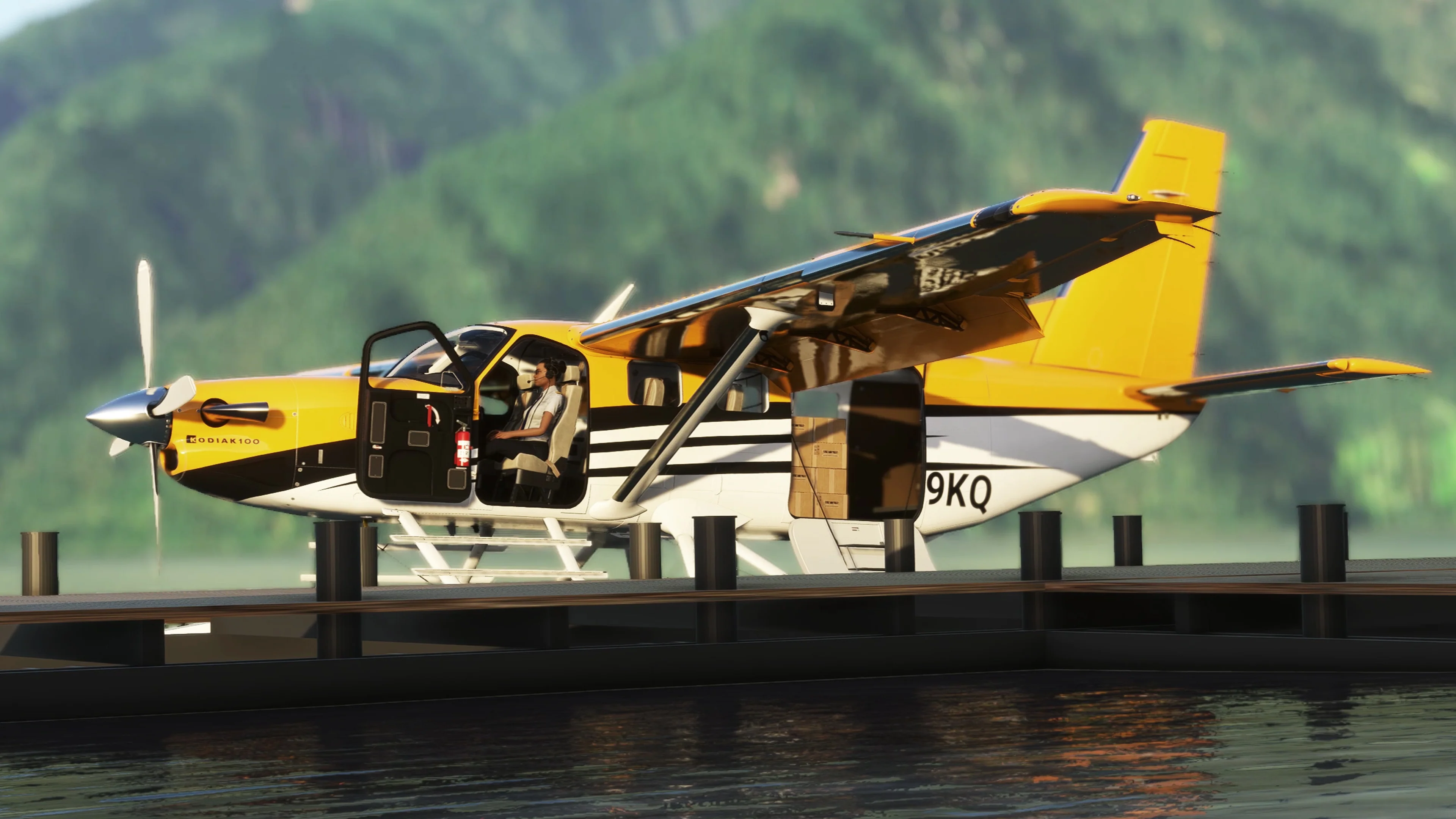 Kodiak 100 Amphibian MSFS - Image 14